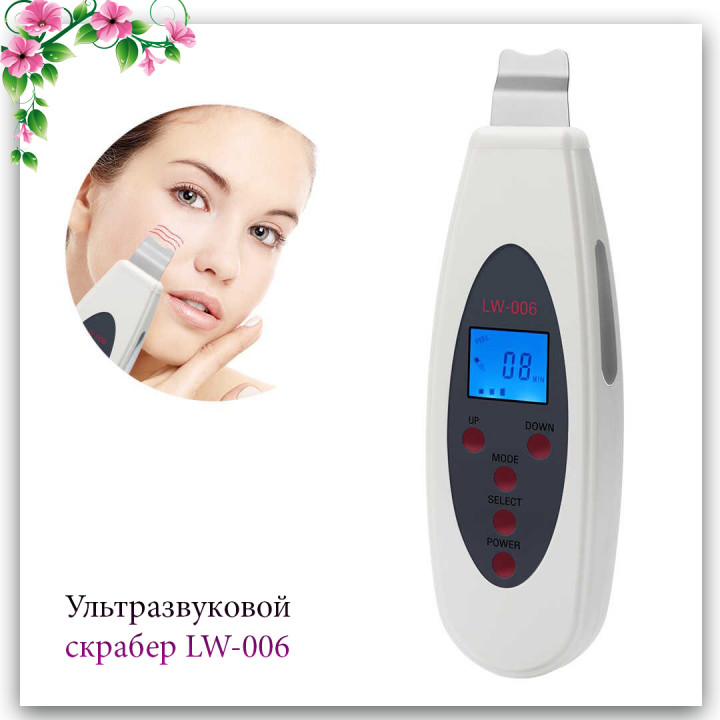 Ультразвуковая чистка LW-006